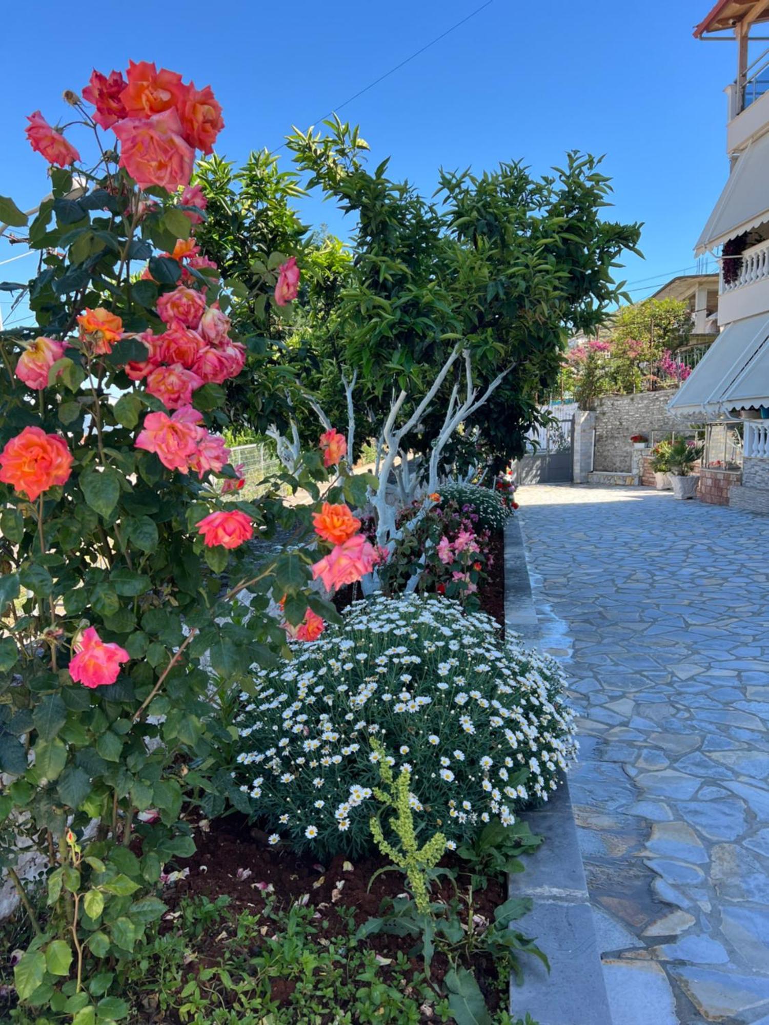 Amazing Familiar Apartments And Rooms Sarandë 外观 照片