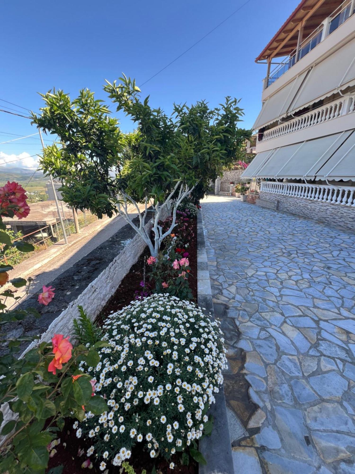 Amazing Familiar Apartments And Rooms Sarandë 外观 照片