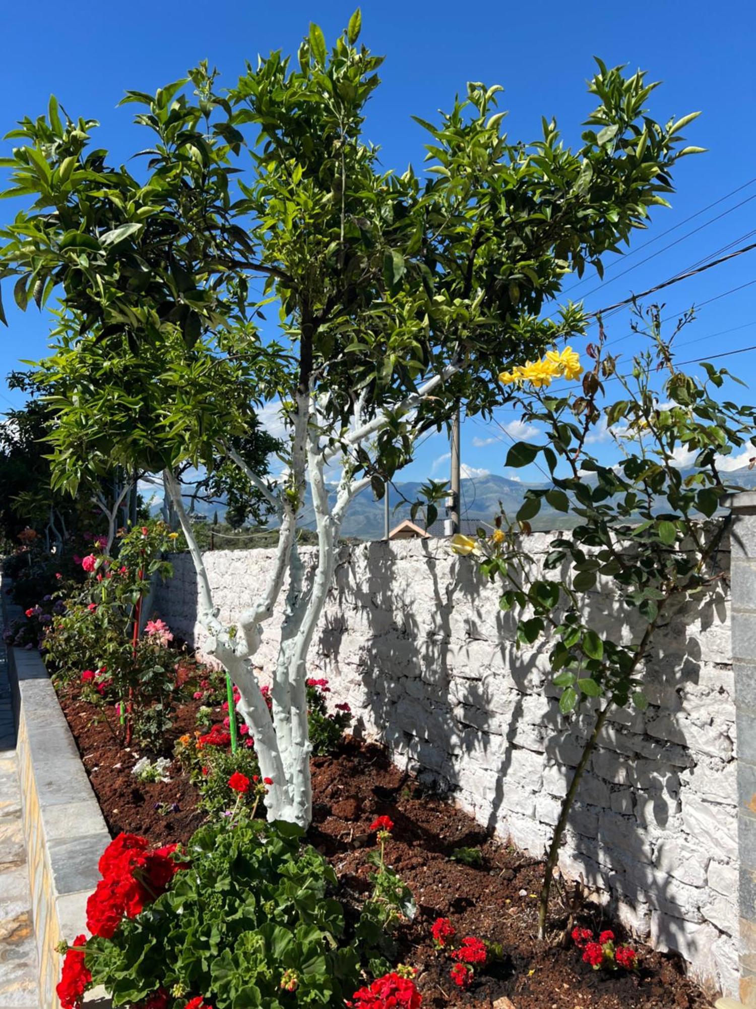 Amazing Familiar Apartments And Rooms Sarandë 外观 照片